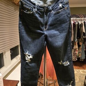 Judy Blue Dark Distressed Ankle Jeans
